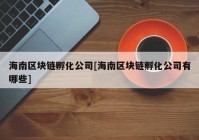 海南区块链孵化公司[海南区块链孵化公司有哪些]